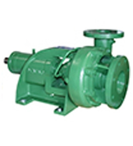 End Suction Pumps (Frame Mounted/ Close Coupled)- Deming